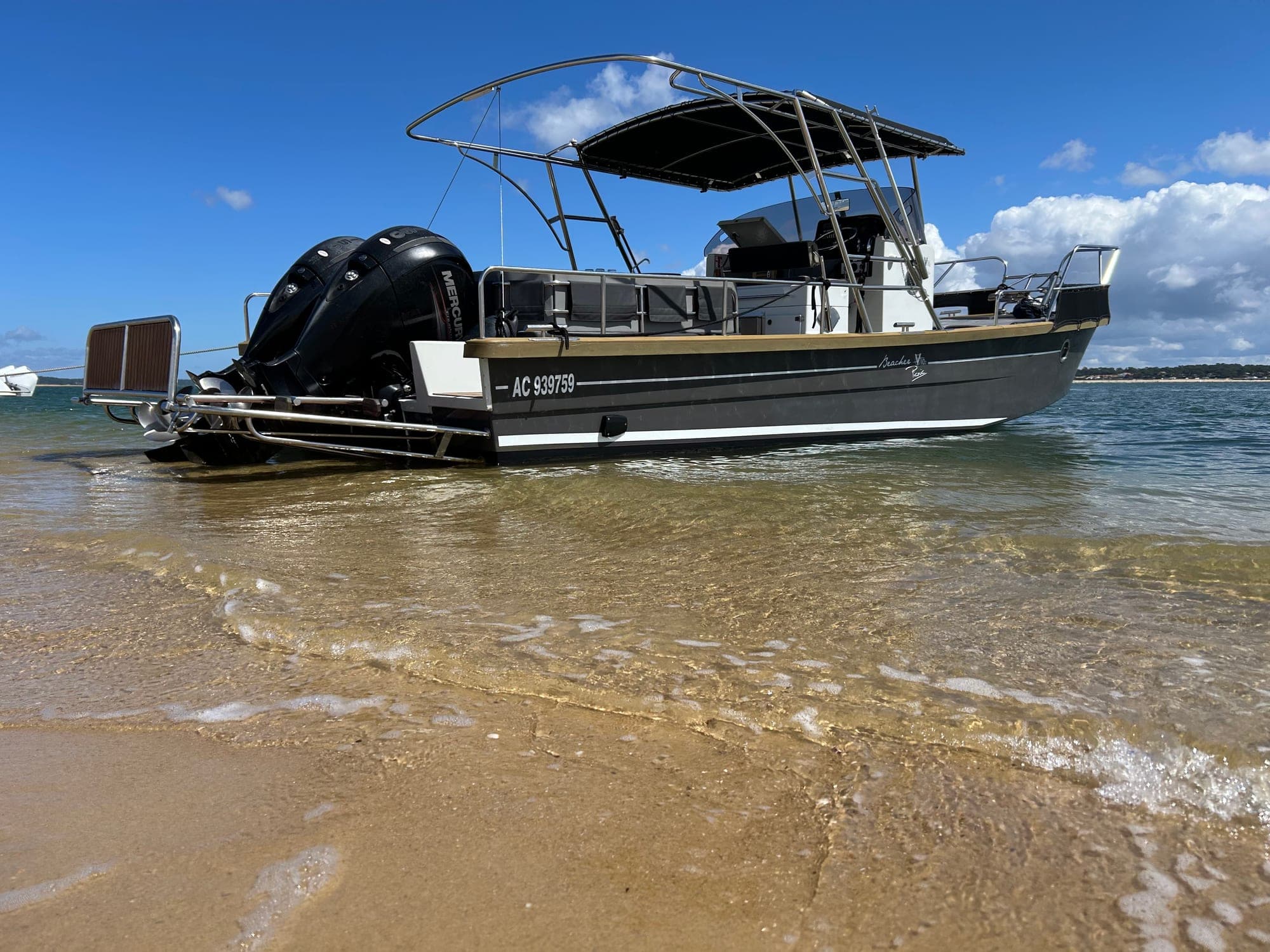 Beacher V10.2 Picnic, photo 2
