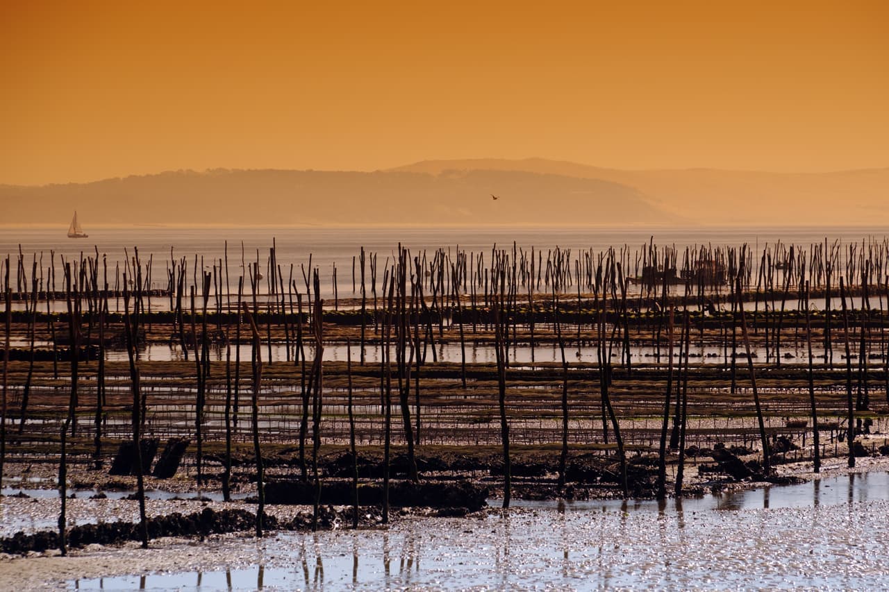 Parcs Ostréicoles