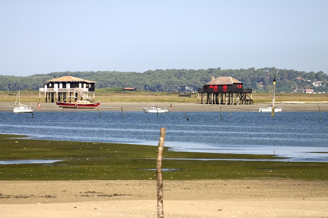 L'ile aux oiseaux et cabanes tchanquées