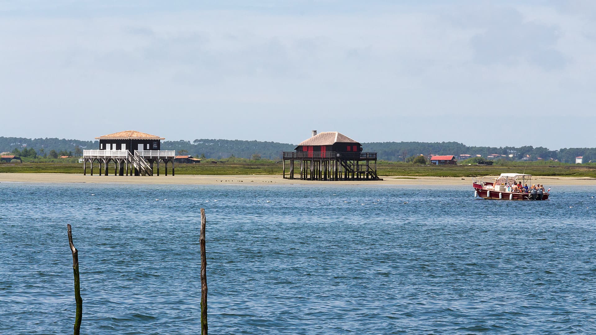 Découverte de l'ile aux oiseaux et ses cabanes tchanquées en bateau