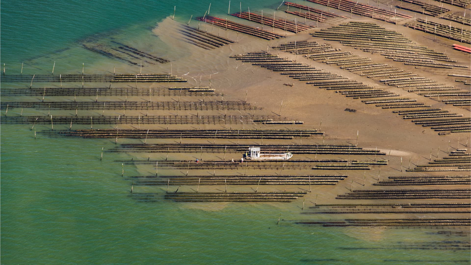 Bateau au milieu des parcs ostréicoles du bassin d'Arcachon